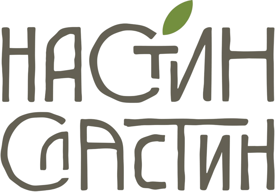 Правообладатель:  «Настин Александр Николаевич»